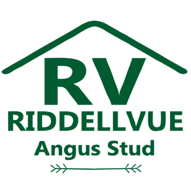 Riddellvue Angus Autumn Bull & Female Sale