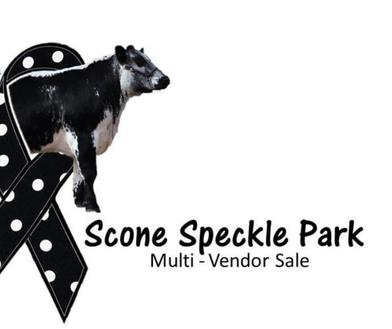 Scone Speckle Park Annual Invitational Sale