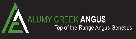 Alumy Creek Angus Bull Sale