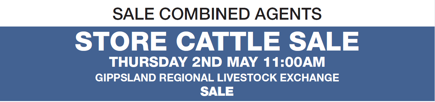 Sale Combined Agents: Store Cattle sale