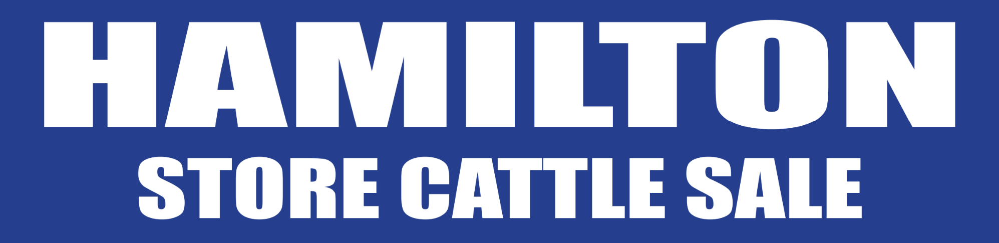 Hamilton Store Cattle Sale