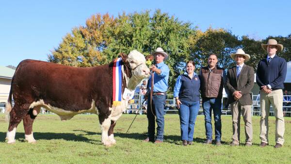 Herefords Australia National Show and Sale is set to be a cracker