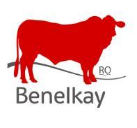 Benelkay Santa Gertrudis Bull Sale