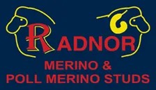 Radnor Merino & Poil Merino 2024 On Property Sale