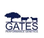Gates Performance Genetics Angus Bull Sale