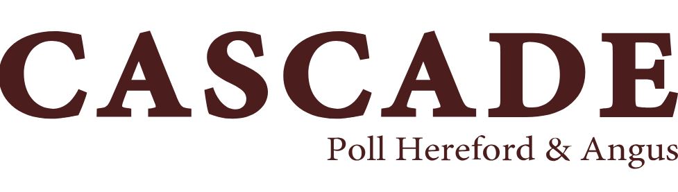 Cascade Poll Hereford & Angus Bull Sale