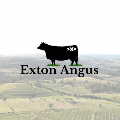 Exton Angus Invitational Bull Sale