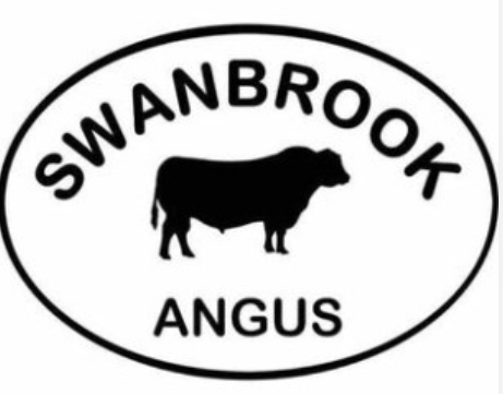 Swanbrook Angus Bull Sale