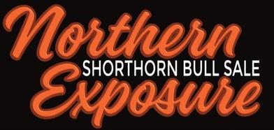 Northern Exposure Shorthorn Bull Sale