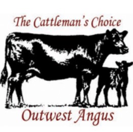 Outwest Angus Bull Sale