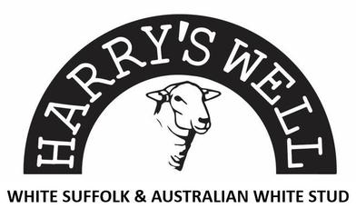 Harry's Well White Suffolks & Australian Whites 9th On Property Sale