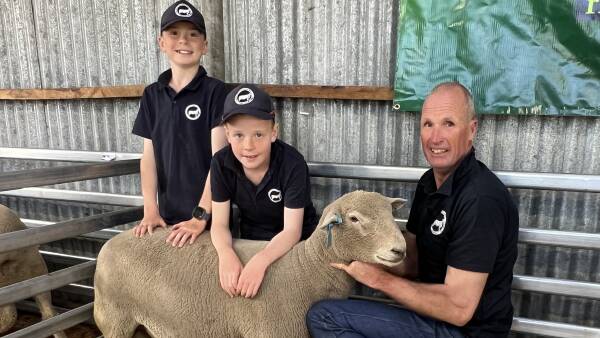 Volume buyer picks up 15 Southdown rams at Kirkdale sale in Tasmania