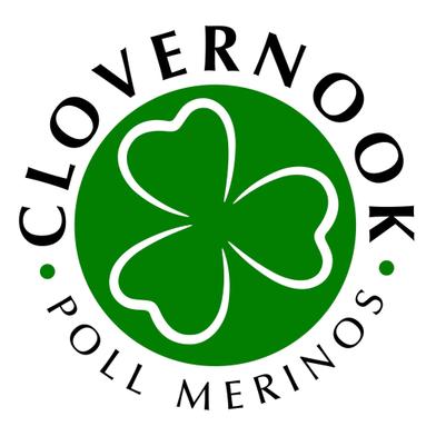 Clovernook Merino Ram Sale