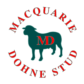 Macquarie Dohne Stud 22nd Annual Production Sale