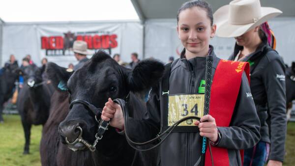 New and returning studs on board for Stock Journal Beef Week