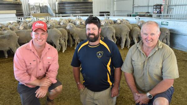 Glenlea Park Poll Merino stud to remain in SA hands