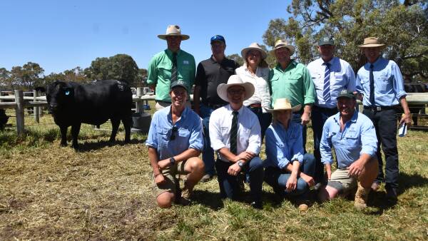 Pathfinder Angus stud’s 30TH SA bull sale impresses with high clearance