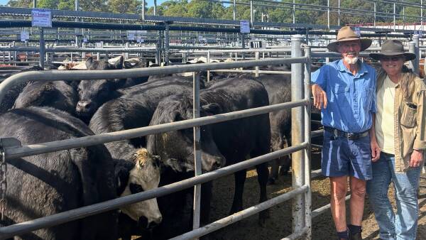 Anticipation builds for weaner sales as prices reach $1710 for steers at Bega