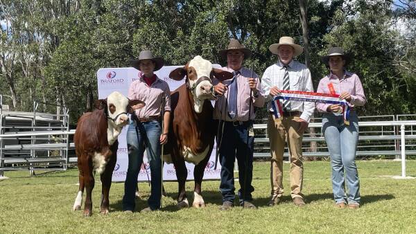 Around the Ring: Interstate exhibitor dominates Braford feature show at Mount Perry