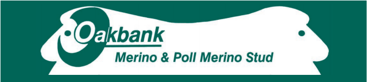 Oakbank Merino Stud