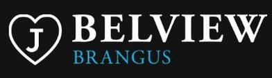 Belview Brangus Bull Sale