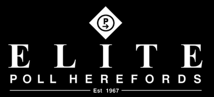 Elite Poll Herefords Bull Sale