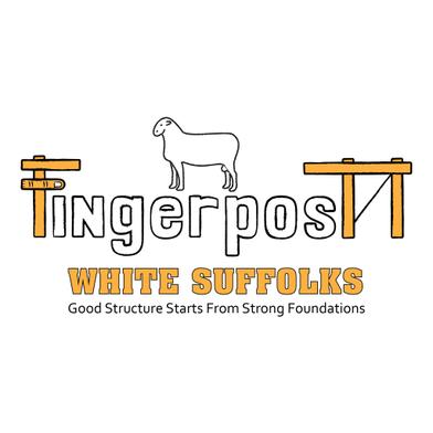 Finger Post White Suffolks