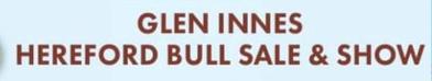 Glen Innes Hereford Bull Sale