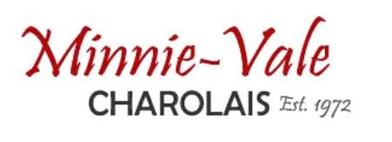 Minnivale Charolais Bull Sale