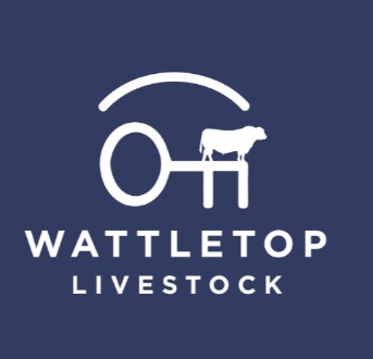 Wattletop Angus Bull Sale