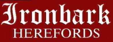 Ironbark Herefords Bull Sale