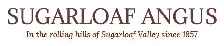 Sugarloaf Angus Bull Sale