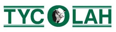Tycolah Hereford Bull Sale