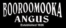 Booroomooka Angus Bull Sale