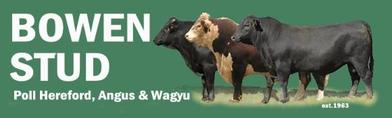 Bowen Angus & Hereford Sale
