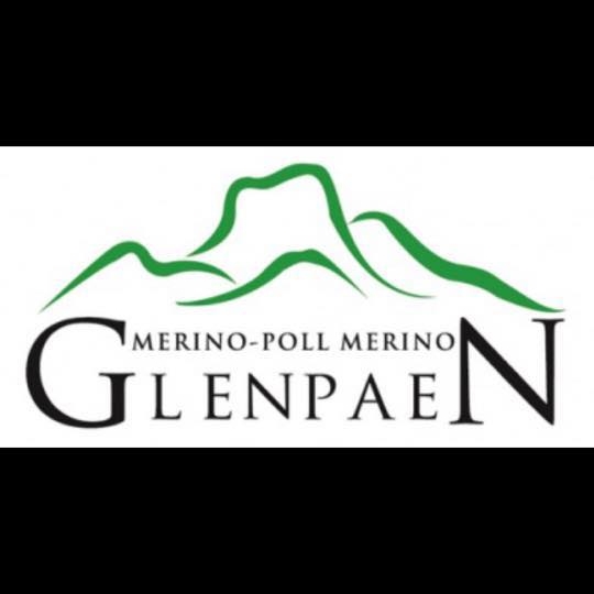 Glenpaen Merino & Poll Merino Ram Sale