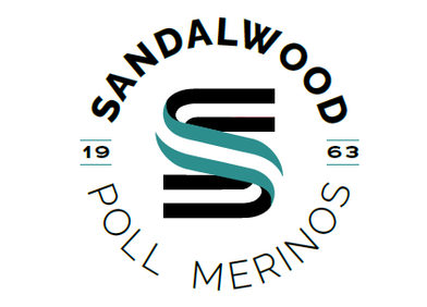 Sandalwood Poll Merino Ram Sale