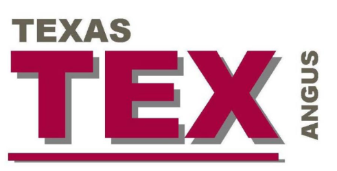 Texas Angus Bull Sale