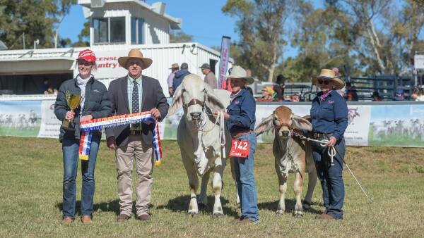 FarmFest feature breed female wins best in show in two major competitions