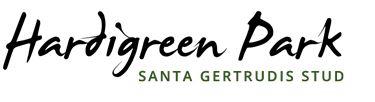 Hardigreen Park Santa Gertrudis Bull Sale