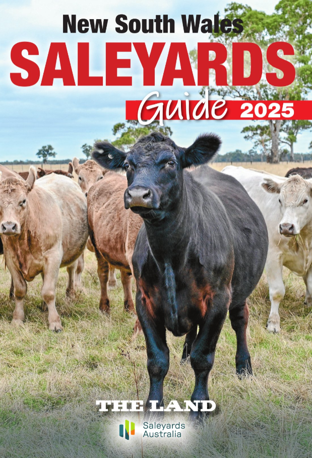 QLD SY guide