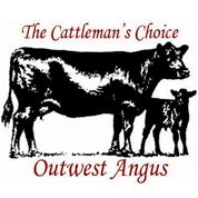 Outwest Angus Bull Sale