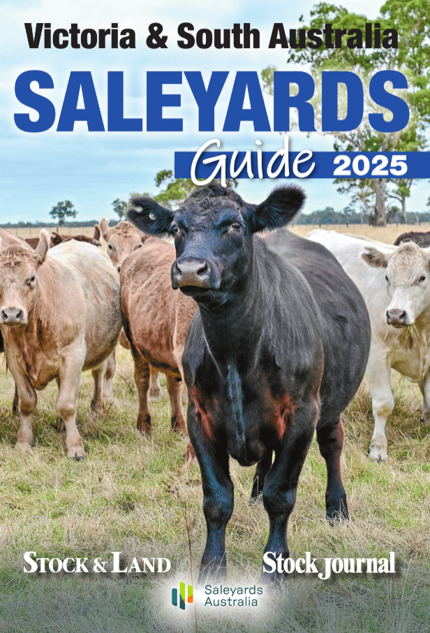 NSW SY guide