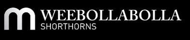 Weebollabolla Shorthorn Bull Sale