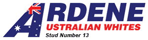 Ardene Australian White Spring Ram Sale