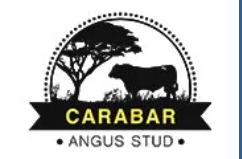 Carabar Bull Sale