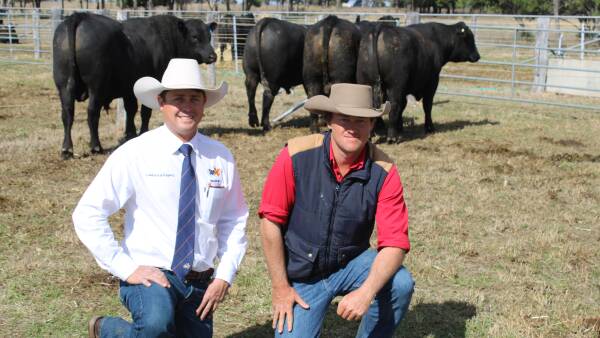 Graneta Angus sale surpasses expectations, with spirited bidding from repeat buyers