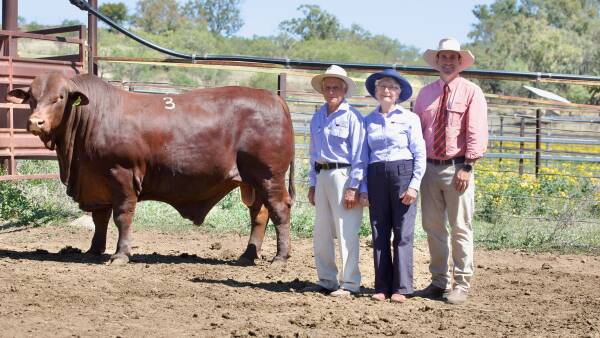 Yarrabee Wilamba sale result up on last year, stud secures top price