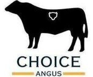 Profile picture of Choice Angus