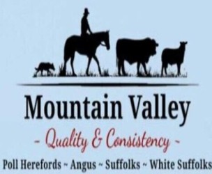 Profile picture of Mountain Valley